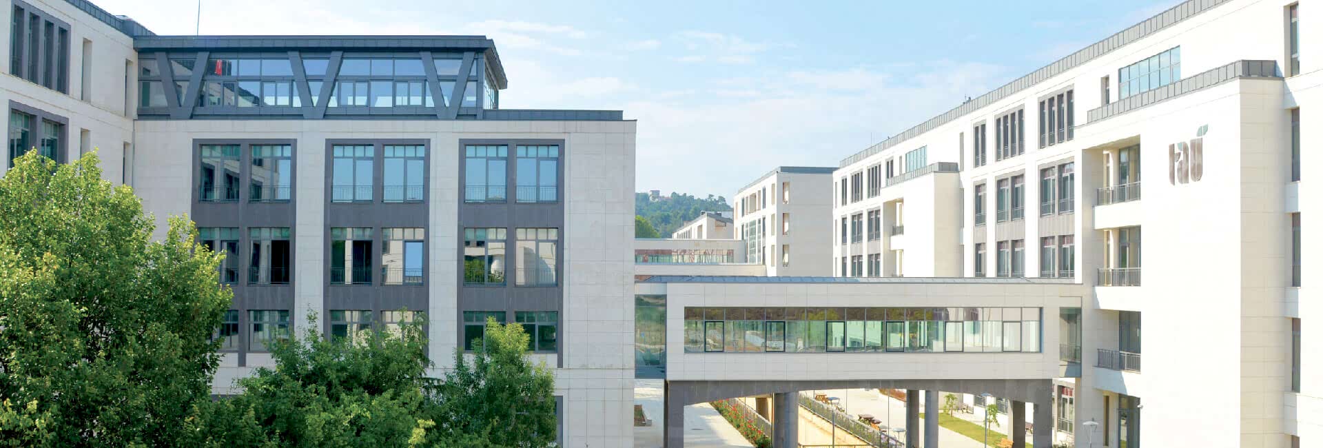 travertine and limestone products