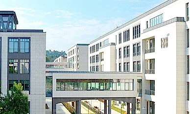 doğaltaş dış cephe