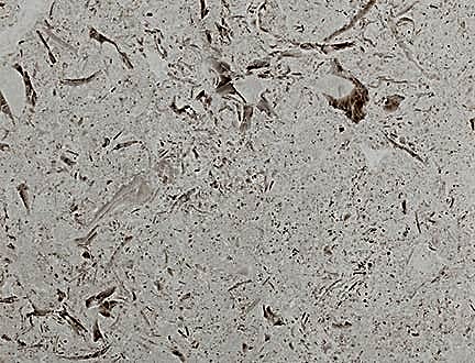 Emelas Pearl Limestone