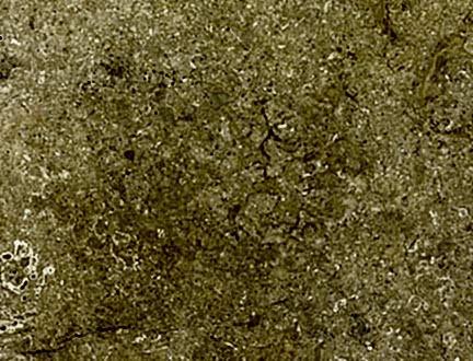 Giallo Tabae Limestone