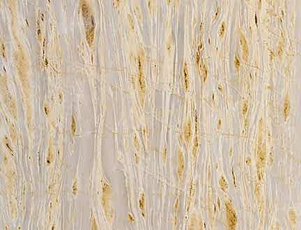 Golden Gri Vein Cut
