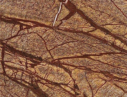 Rainforest Brown