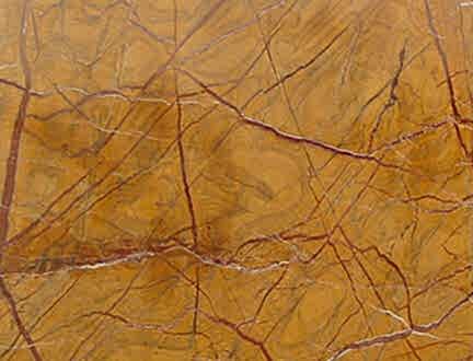 Rainforest Gold